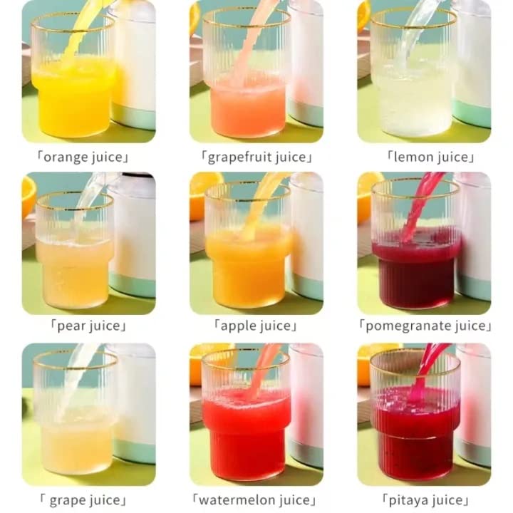 Electric Rechargeable Citrus Juicer